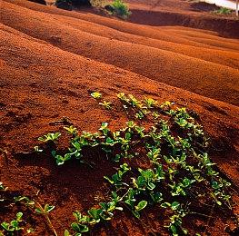 Atlus公布《真女神转生5》新演示影像 11月上市