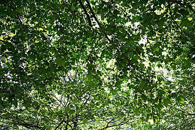 腾讯《三角洲行动》代言人公布 吴彦祖喊你来创建角色